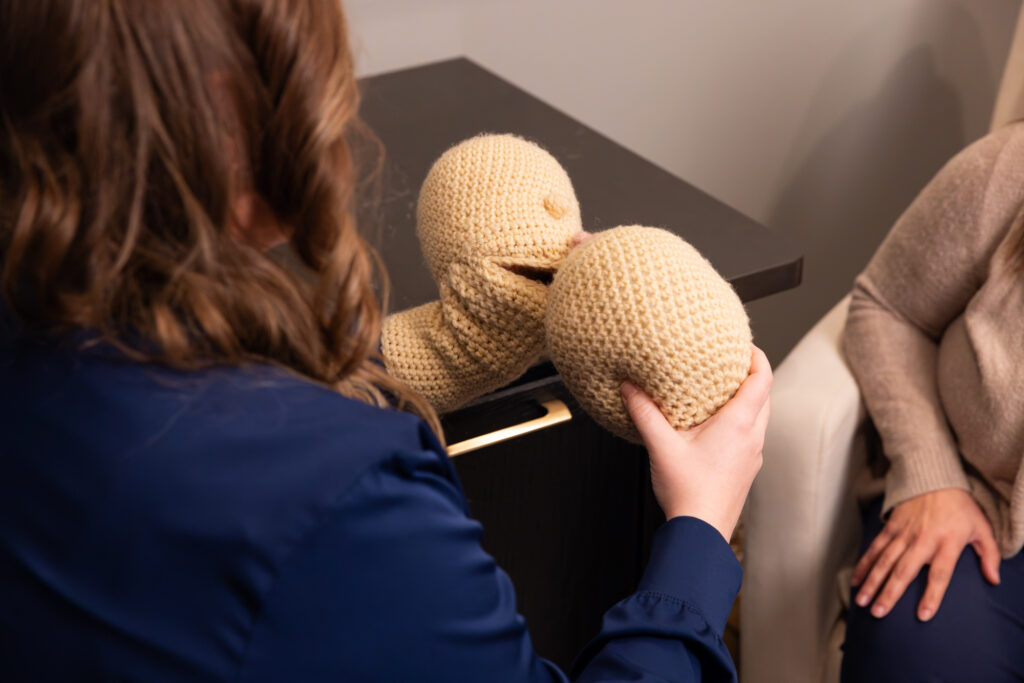 A lactation specialist in Sioux Falls at The Sonography Studio demenstrating breastfeeding methods to an expecting mother. The specialist uses knit-puppet tools in the demonstration, one reprsenting the baby and one reprsenting the mother's breast.